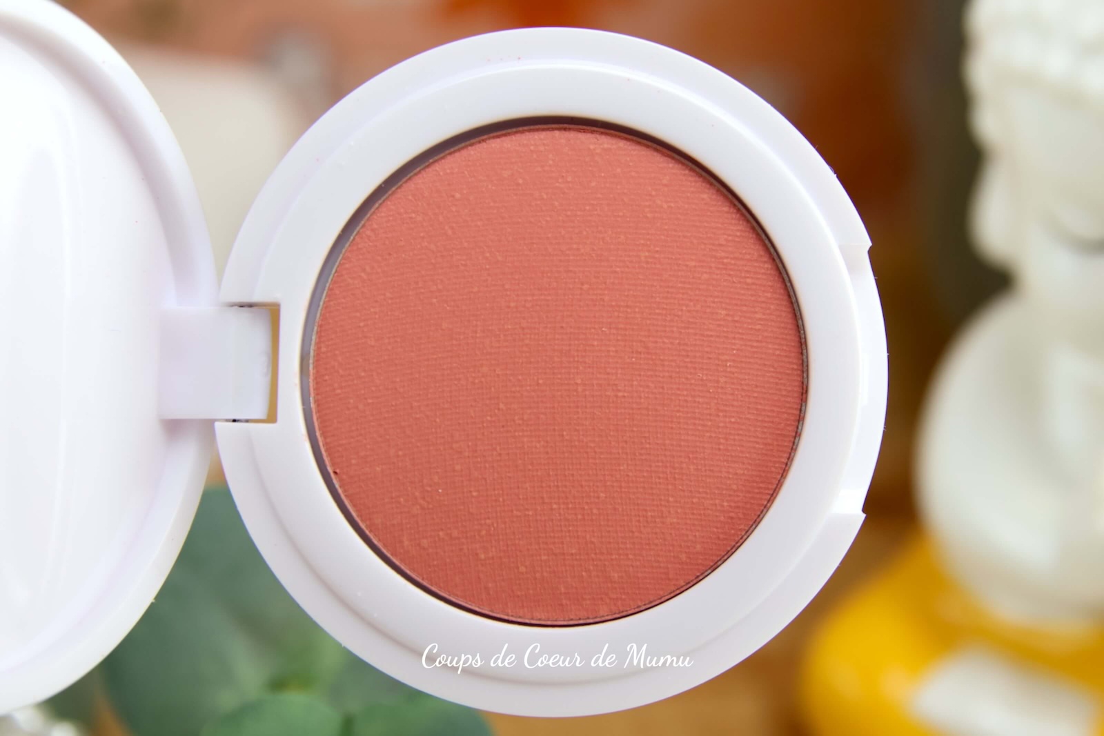 Blush Poudre Pure By Valérie