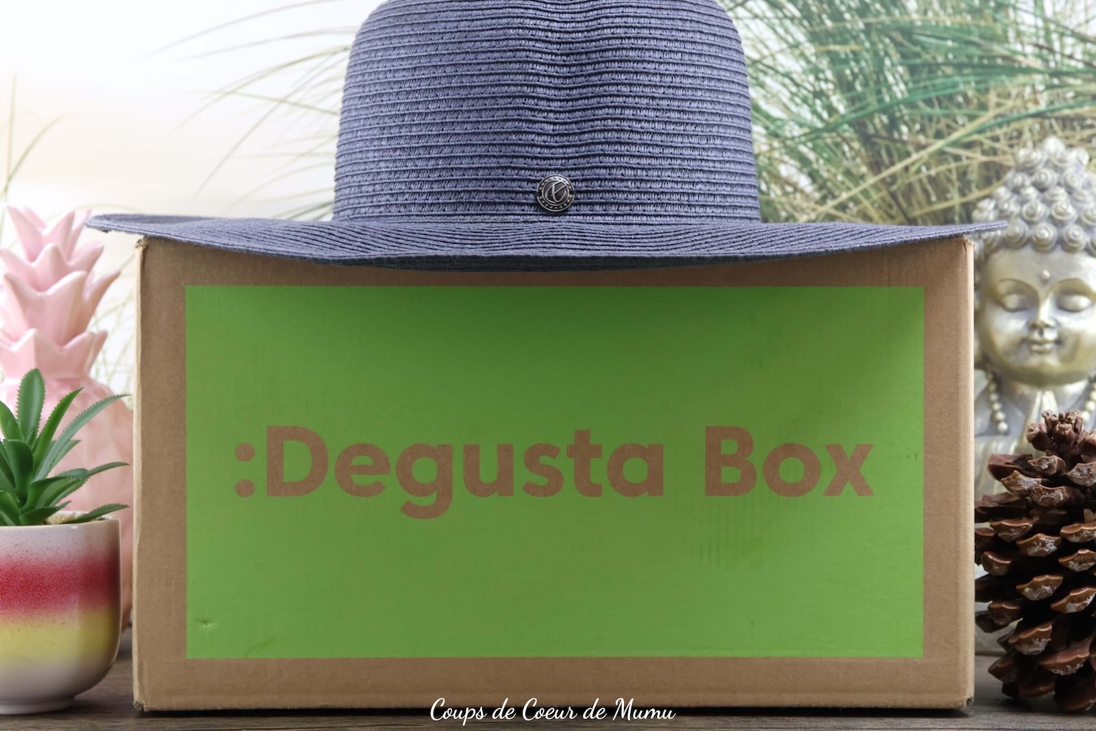 Degusta Box de Juillet 2024