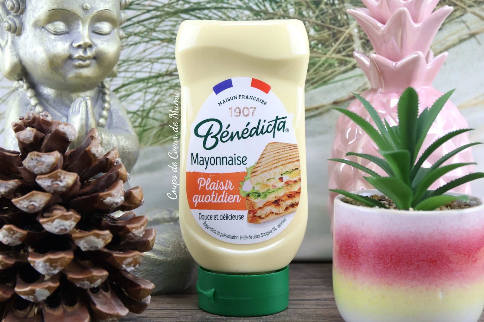 Mayonnaise Plaisir Quotidien Bénédicta