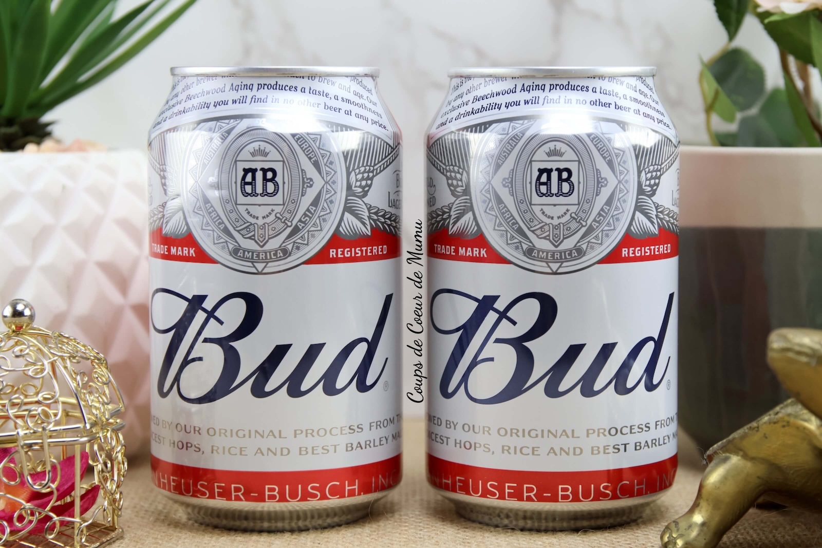 Bière BUD