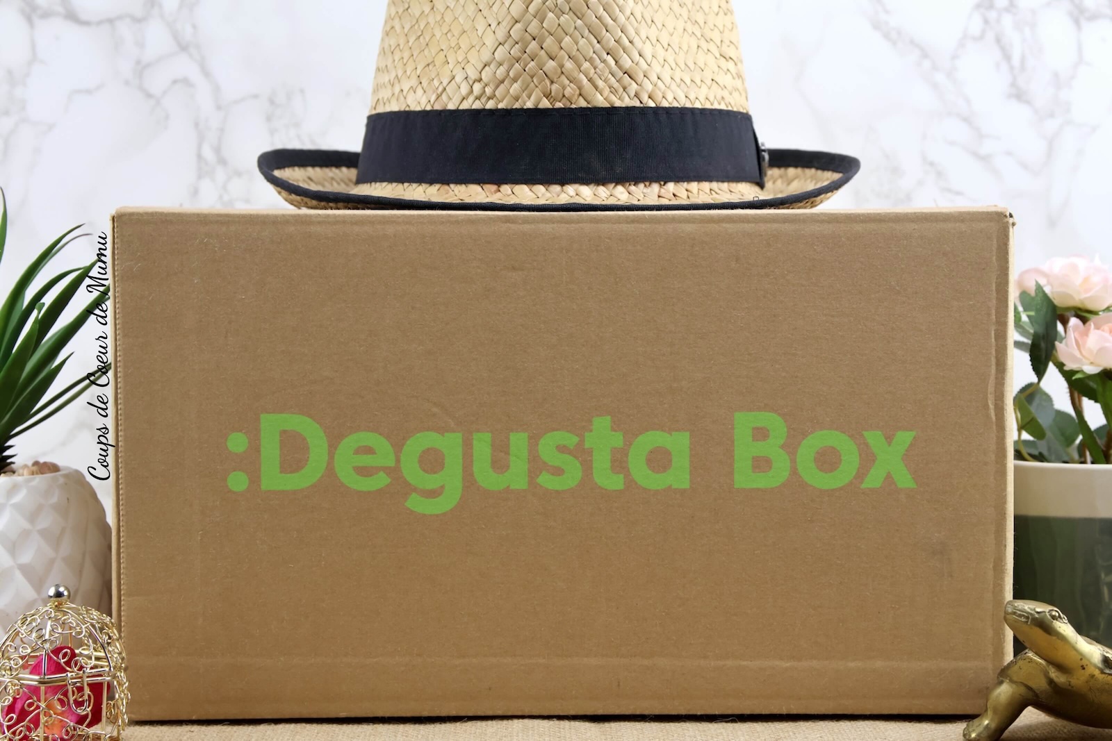 Degusta Box Sous le Soleil et Sous le Pouce d'Août 2024