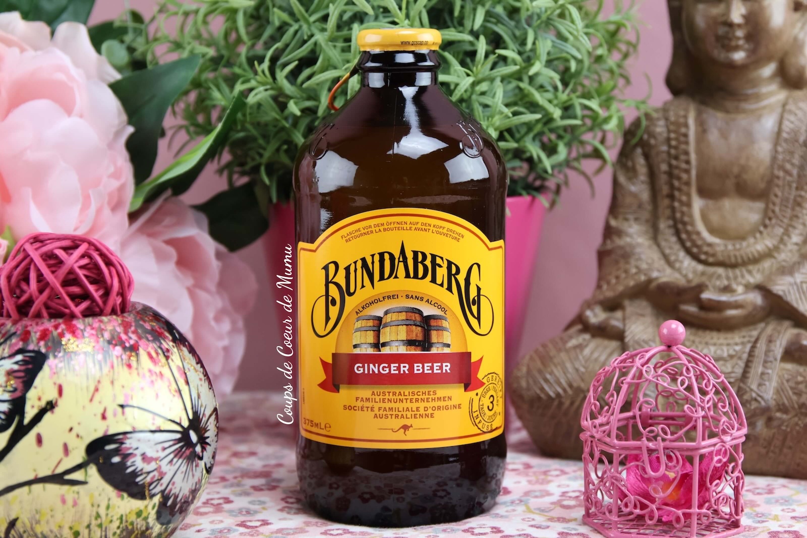 Ginger Beer Bundaberg