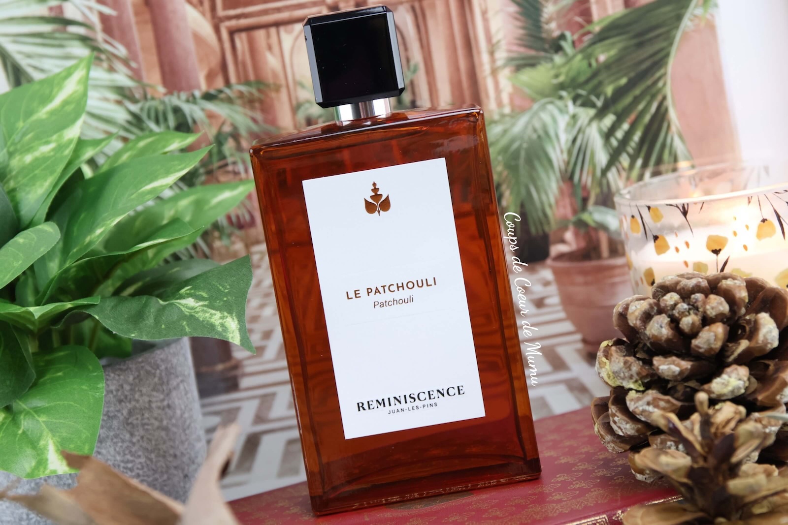 avis-parfum-automne-patchouli-reminiscence