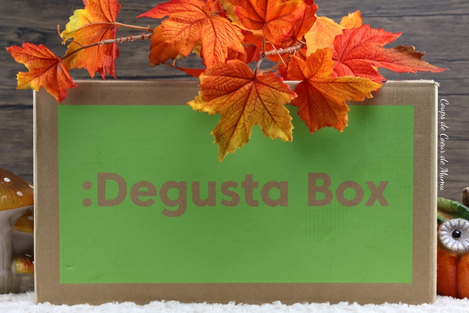 avis Degusta Box d'Octobre 2024