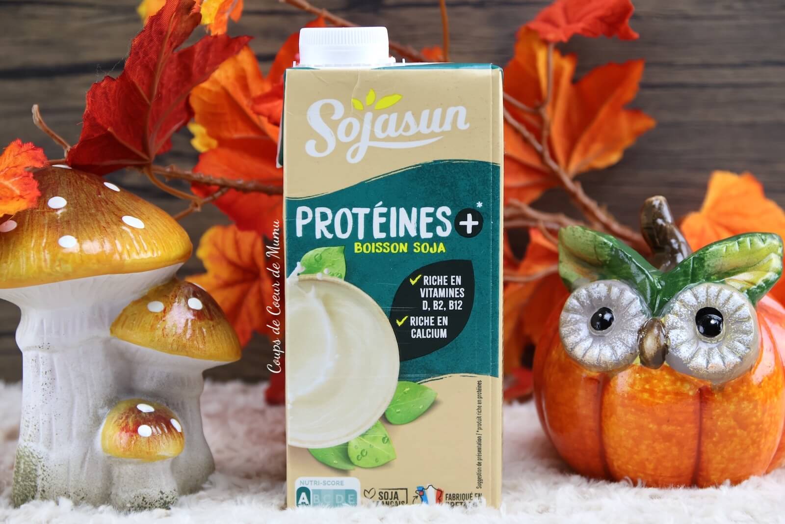 Boisson Protéines + Sojasun