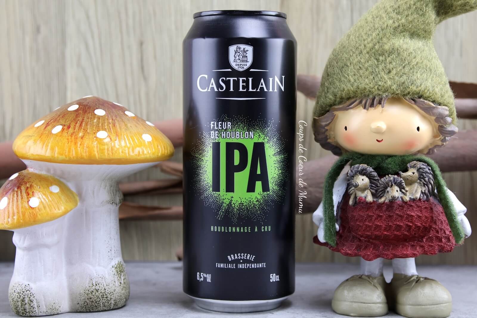 Bière de Style IPA Castelain